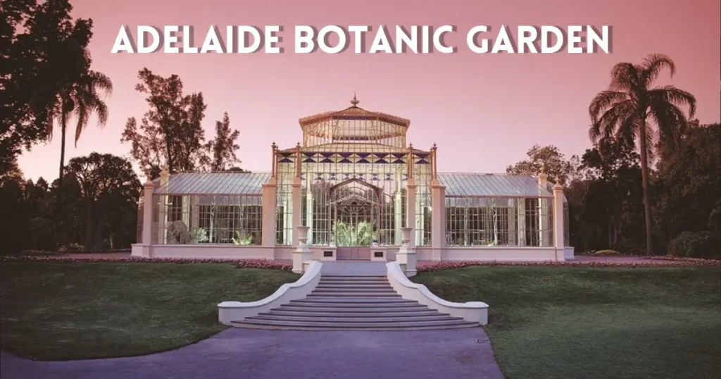 Adelaide Botanic Garden Cute Date Ideas in Adelaide